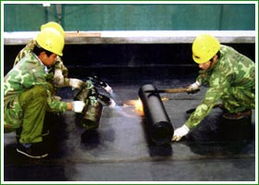 杭州旺旺家政公司 專業防水補漏服務與高清圖解